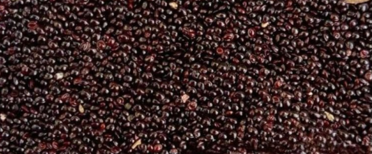 image of palmer amaranth image of palmer amaranth