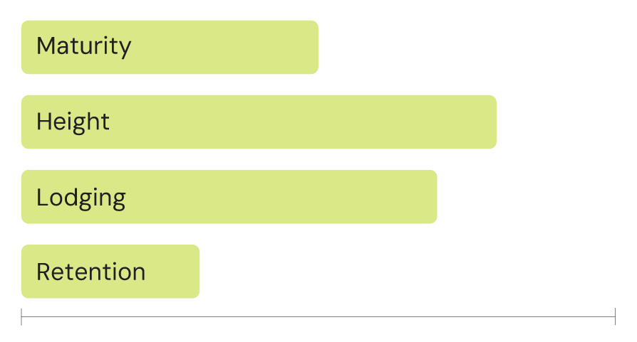 wild oats graph wild oats graph