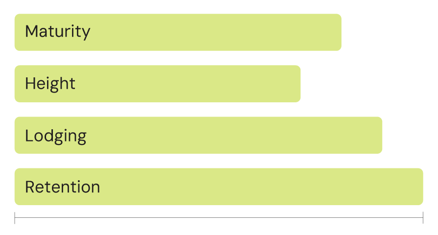 wild radish graph wild radish graph